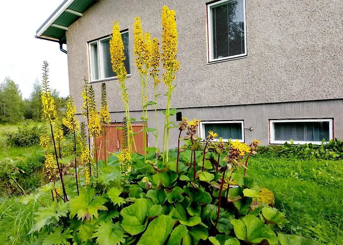 Marjula Апартаменты *